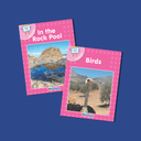 A global Leader in  phonics and literacy education