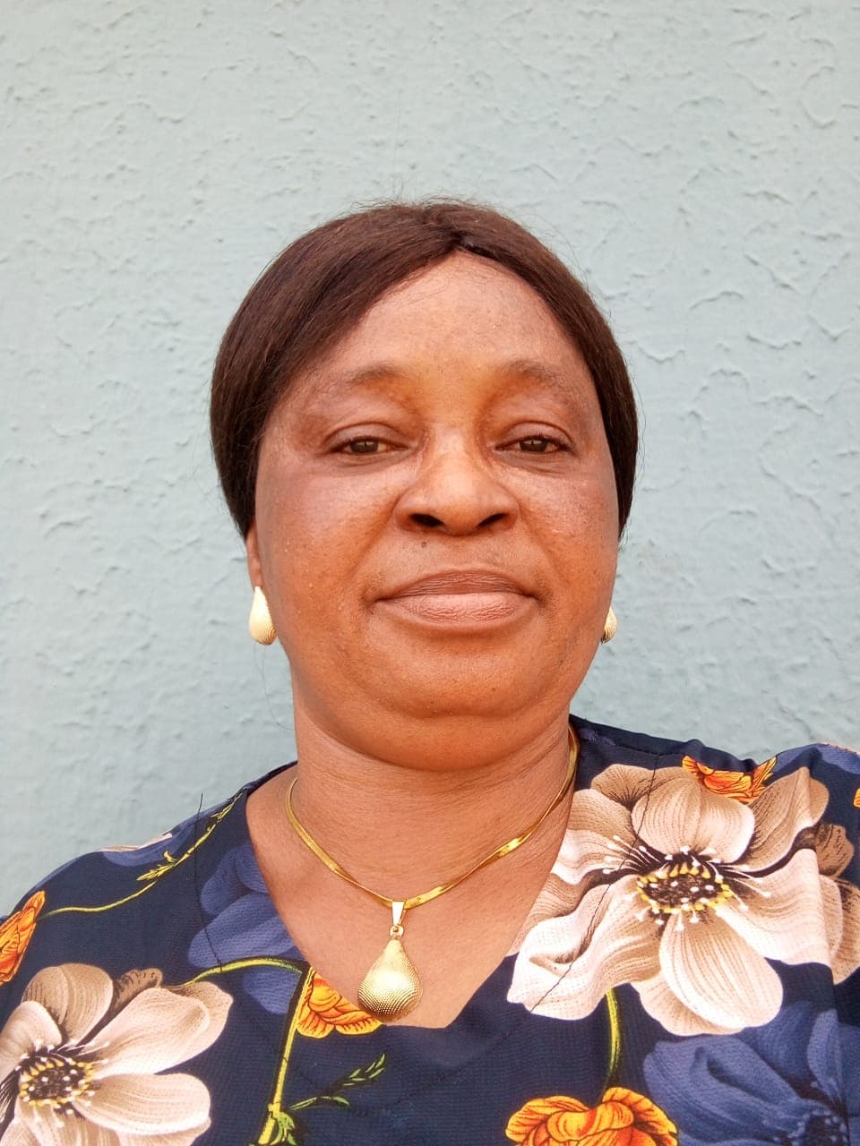 Dr Magdalene Ifeoma Ogbermudia image